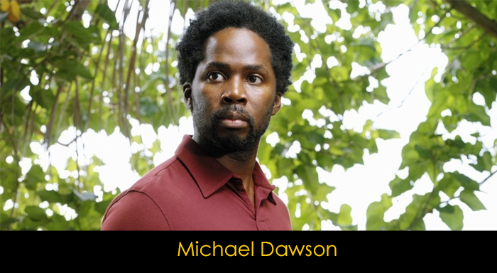 Lost dizisi konusu ve oyuncuları - Michael Dawson