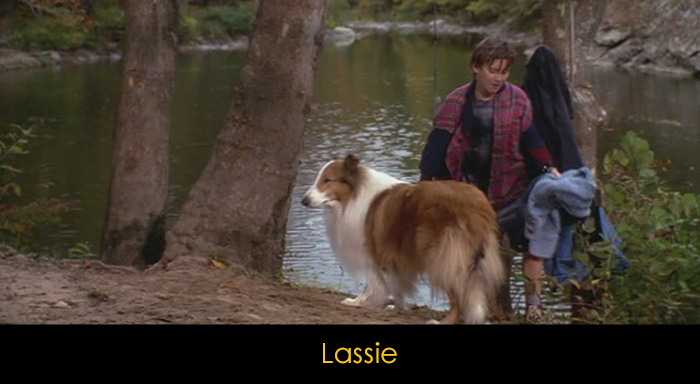 En İyi Köpek Filmleri - Lassie
