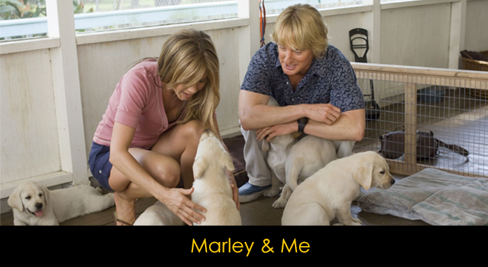 En İyi Köpek Filmleri - Marley & Me