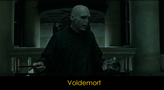 Sinemanın Kötü Adamları - Voldemort