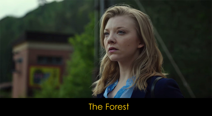 En İyi Netflix Mini Dizileri - The Forest